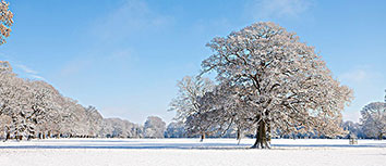 尼日利亚球员连续砍分实现逆袭