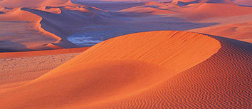 森林狼队新进球员斩获MVP