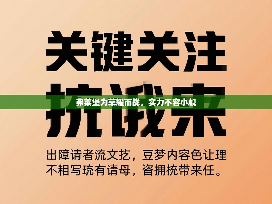弗莱堡为荣耀而战,实力不容小觑 第1张
