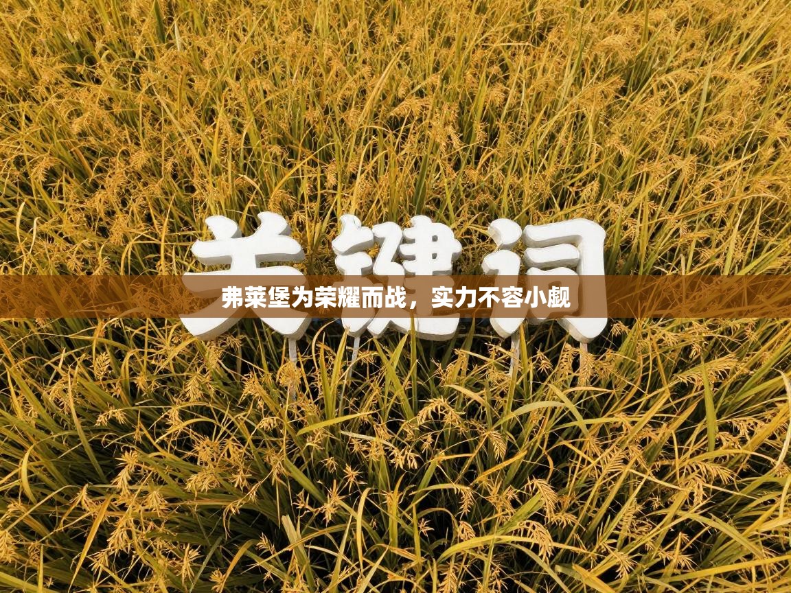 弗莱堡为荣耀而战,实力不容小觑 第2张