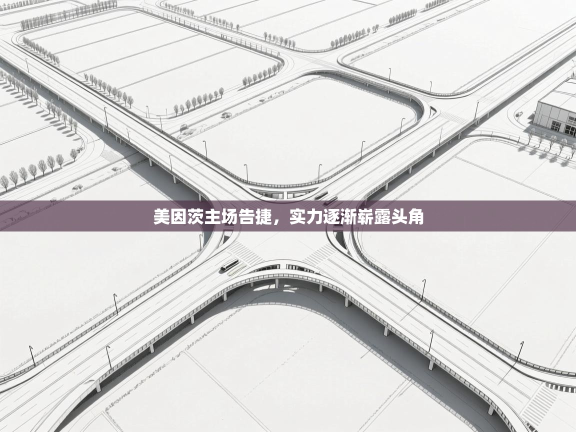 美因茨主场告捷，实力逐渐崭露头角  第1张