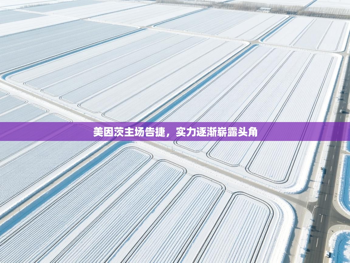 美因茨主场告捷，实力逐渐崭露头角  第2张